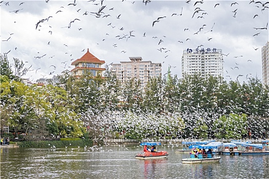 云南昆明翠湖公园