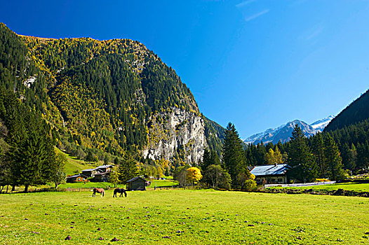 风景,山谷,靠近,坏,地区,萨尔茨堡,奥地利,欧洲