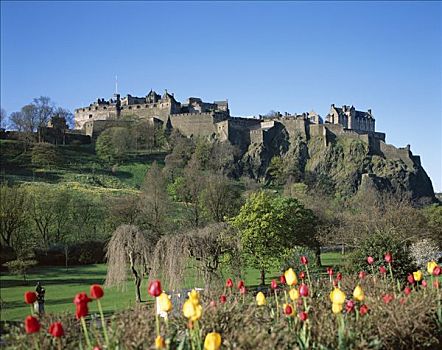 爱丁堡城堡,花,郁金香,前景,爱丁堡,苏格兰