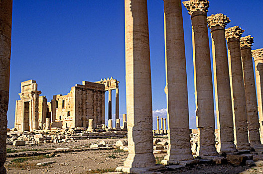 叙利亚,帕尔迈拉,遗迹,世界遗产,庙宇