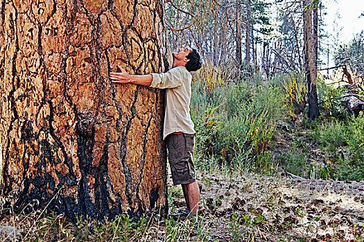 男青年,树林,搂抱,大树,树干,洛杉矶,加利福尼亚,美国