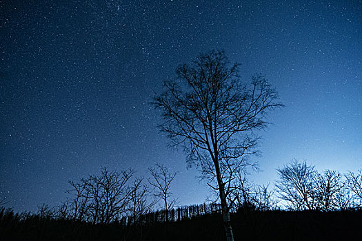 星空,冬天