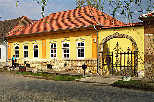 乡村,疯狂,托卡伊,特色,黄色,房子,匈牙利,区域,一个,地区