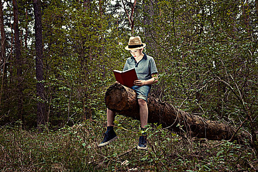 男孩,坐在树上,树干,读,书本