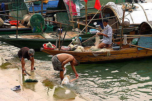 中国南方渔民早鱼市