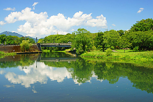 湖,夏天,熊本,日本