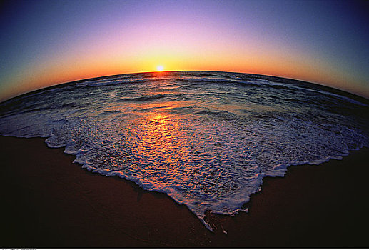日出,上方,海洋,地平线,澳大利亚