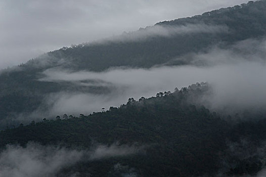 雾,上方,山,普那卡,山谷,地区,不丹