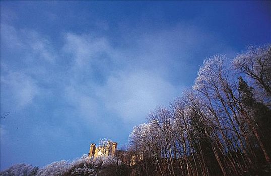 冬天,秃树,白霜,城堡,巴伐利亚,德国,欧洲