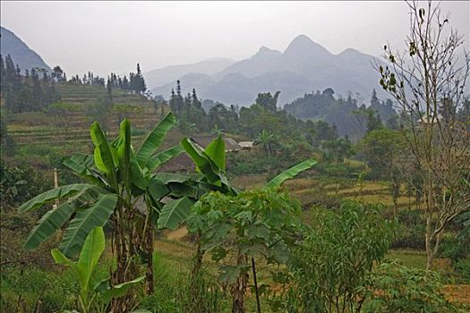 特色,风景,北方,越南,亚洲