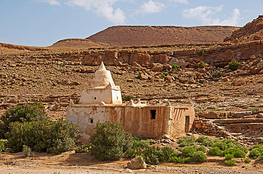 遗址,清真寺,瓦尔扎扎特,省,摩洛哥,非洲