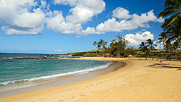 盐,水塘,海滩,公园,考艾岛,夏威夷