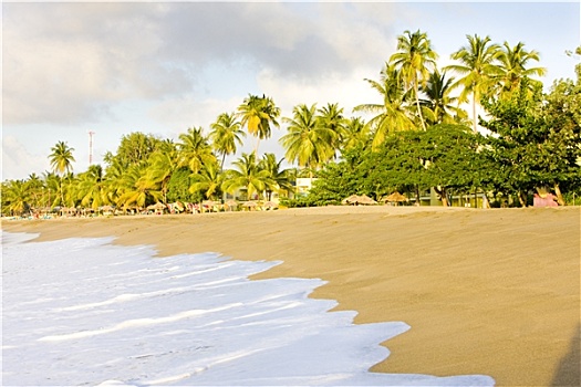 海龟滩,多巴哥岛