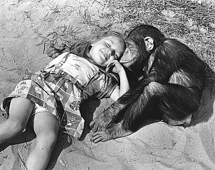 女孩,黑猩猩,搂抱,海滩,英格兰,英国