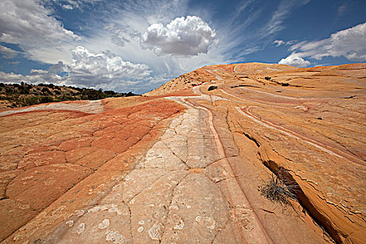 黄色,石头,大阶梯-埃斯卡兰特国家保护区,犹他,美国