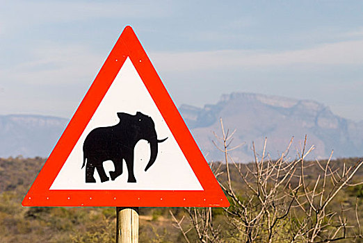 警告标识,大象,南非,非洲