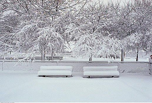 积雪,长椅,公园,蒙特利尔,魁北克,加拿大