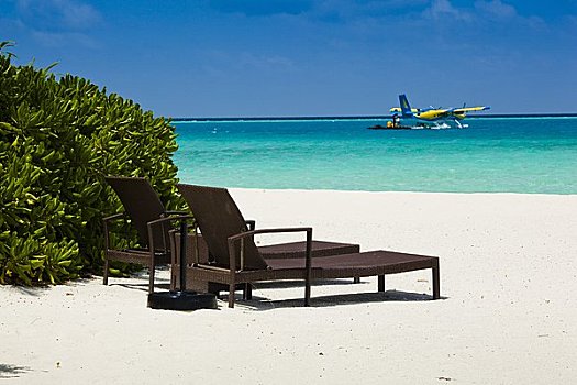 太阳椅,海滩,菩提树,环礁,马尔代夫