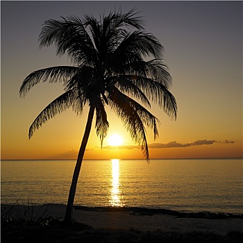 日落,上方,加勒比海,玛丽亚,省,古巴