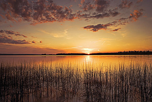 日落,湖,萨斯喀彻温,加拿大