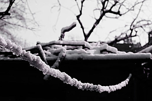 地坛公园雪景