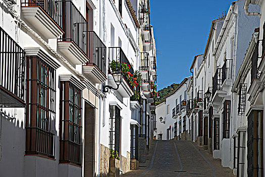 小路,白色,乡村,安达卢西亚,西班牙,欧洲