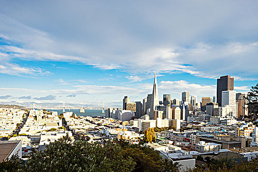 城市,旧金山,天际线