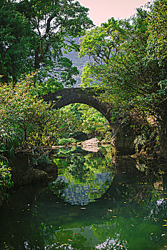 森林里小河上的古老石拱桥
