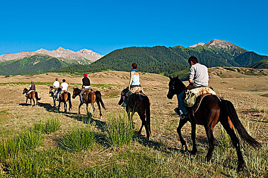 吉尔吉斯斯坦,省,山谷,旅游,骑马,道路,跋涉,团队