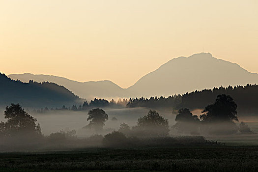 晨雾,山谷,靠近,卡林西亚,奥地利,欧洲