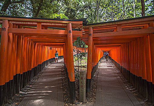 日本,京都,神祠