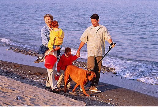 家庭,走,海滩,狗