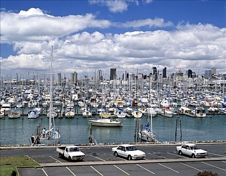 帆船,码头,天际线,奥克兰,新西兰