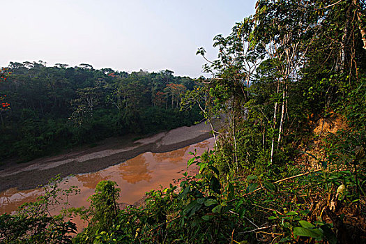 死水,塔博帕塔河,亚马逊盆地,秘鲁,南美