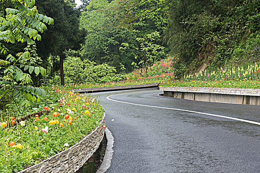 鲜花公路