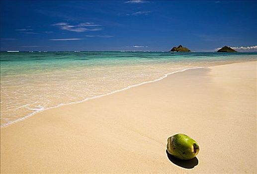 夏威夷,瓦胡岛,椰子,休息,沙子,美好,热带沙滩,莫库鲁阿岛,岛屿,背景