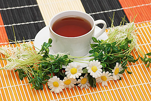 茶杯,药草,雏菊