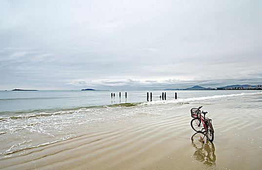 海边的自行车