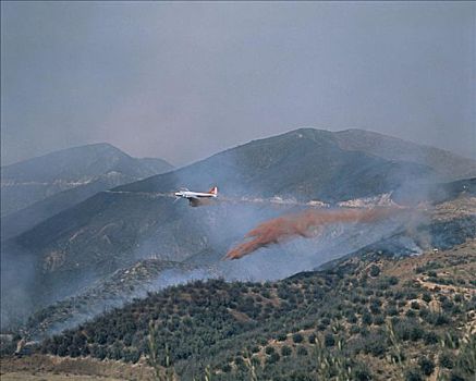 飞机,灭火,森林火灾,落下,化学品