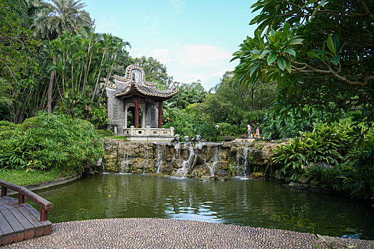 羊城广州天河公园夏天美景