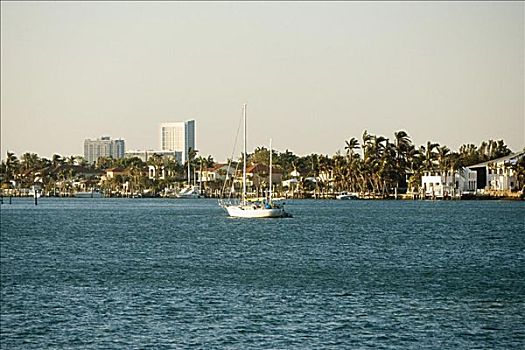 船,海中,迈阿密,佛罗里达,美国