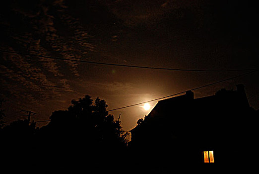 房子,树,月光