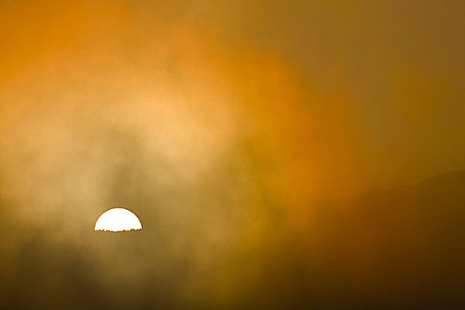 雾,日出,红杉国家公园,加利福尼亚,美国