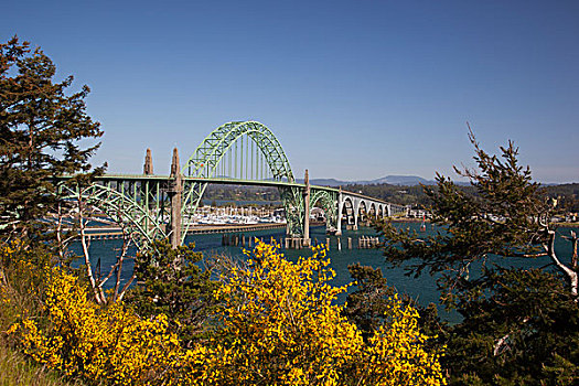 纽波特,雅奎纳,海湾大桥,公路