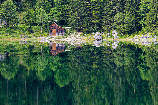 孤单,小屋,岸边,湖,树林,反射,水上