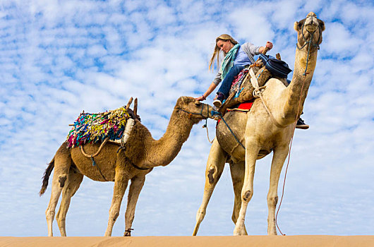 女人,骆驼,乘,抚摸