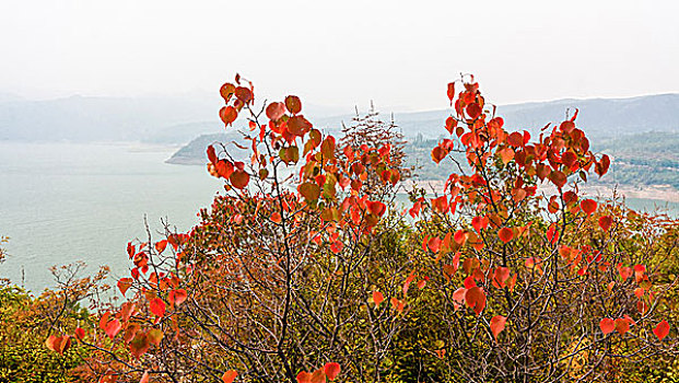 北京白河堡水库