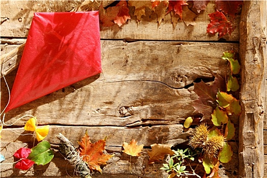秋天,背景,鲜明,红色风筝