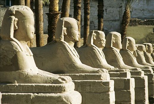 埃及,路克索神庙,狮身人面像,雕塑,户外