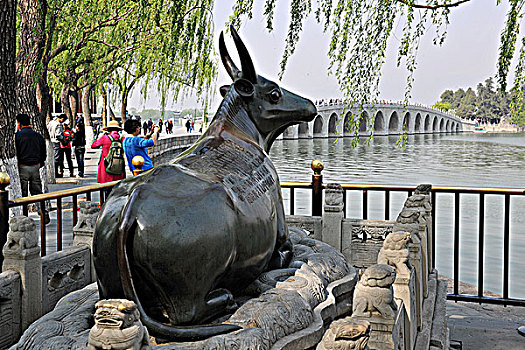 颐和园十七孔桥,铜牛